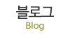 블로그
